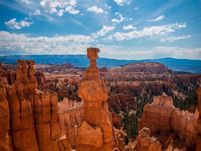 Madison Square Garden Court