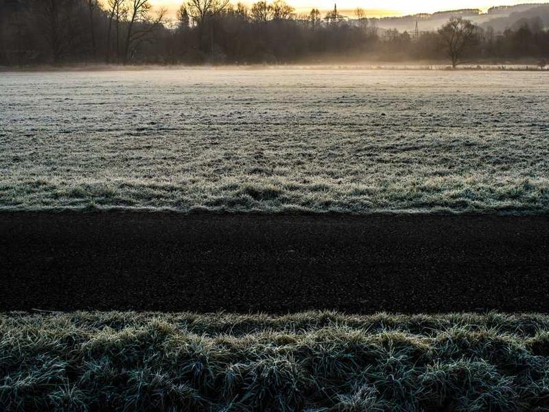 Staples Center Court