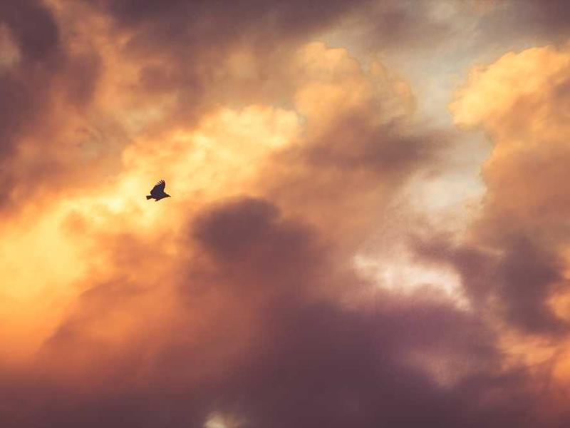 Sydney Cricket Ground