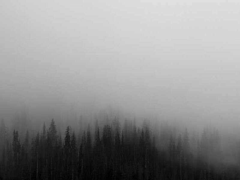 Madison Square Garden Rink